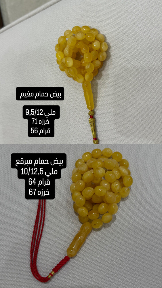 مسباحين بيض حمام مبرقع ومغيم - 1