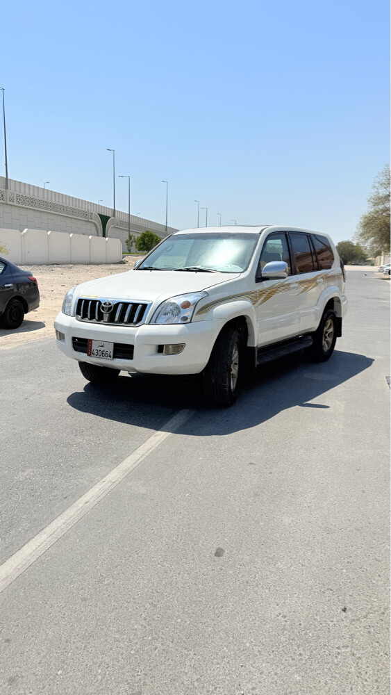 prado 2009 - 14