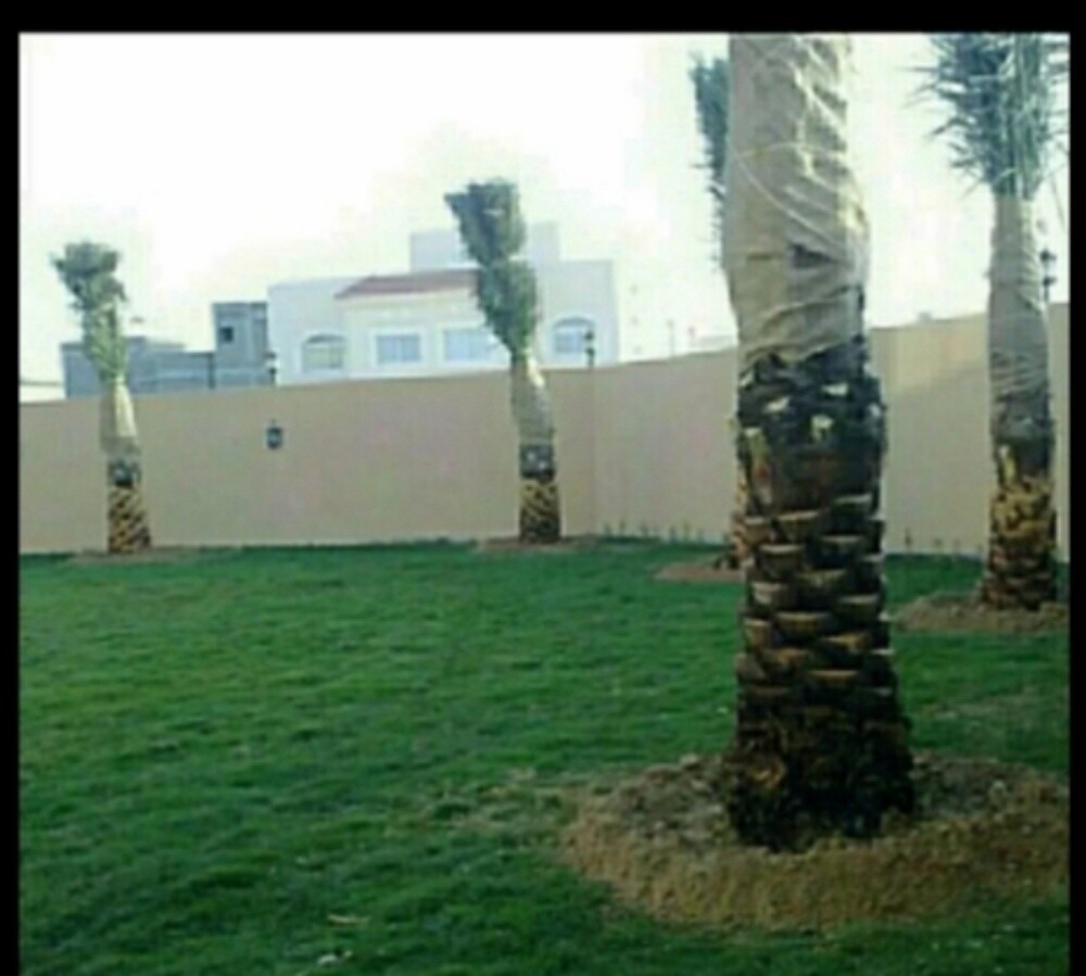 متخصص في تنفيذ الحدايق - 9
