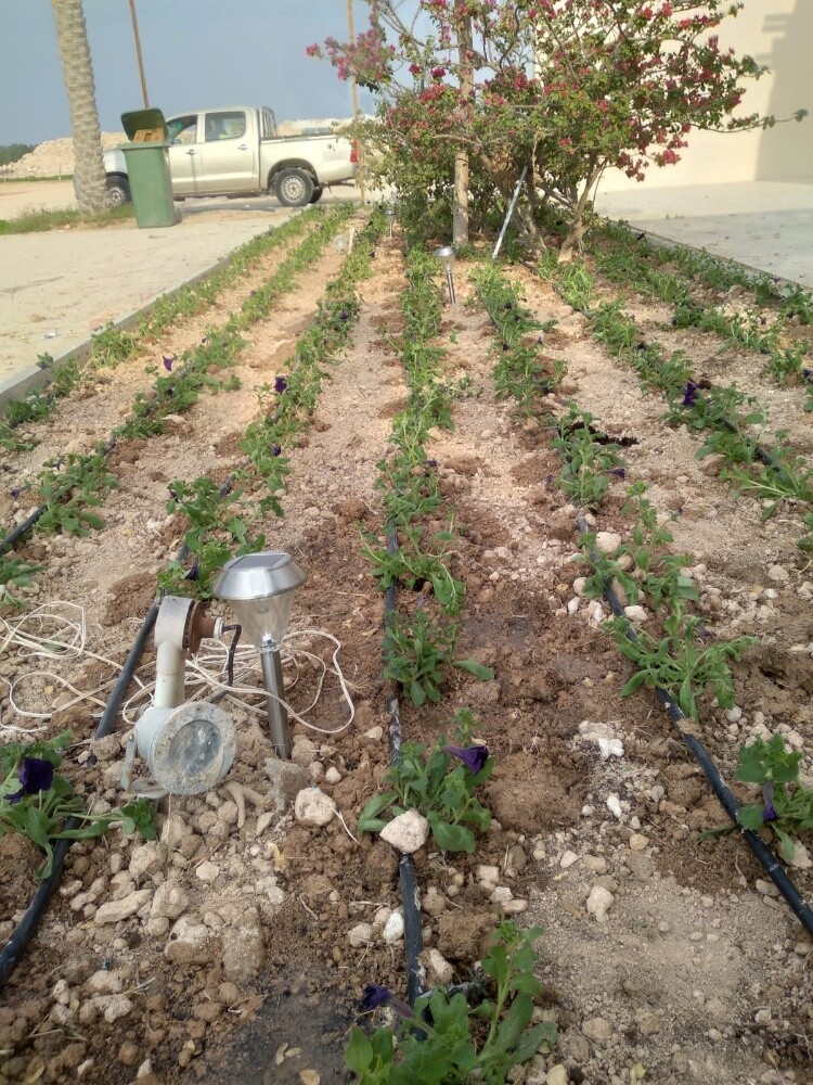 مهندس زراعى - 1