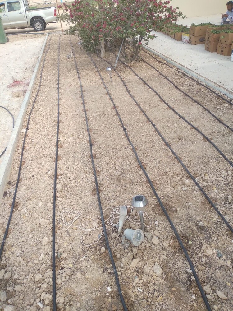مهندس زراعى - 2