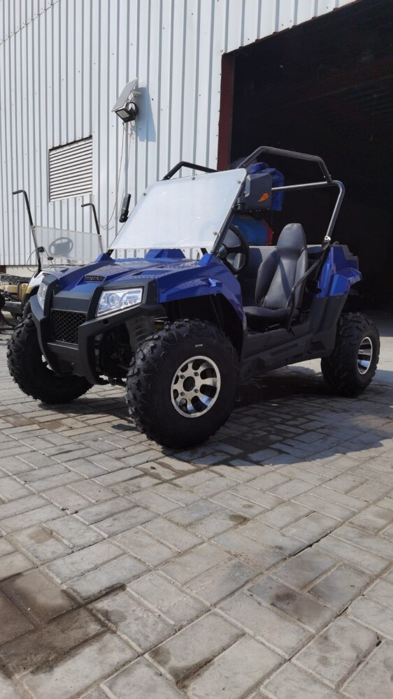 buggy petrol - 15