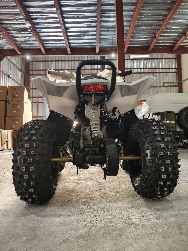 buggy petrol - 12