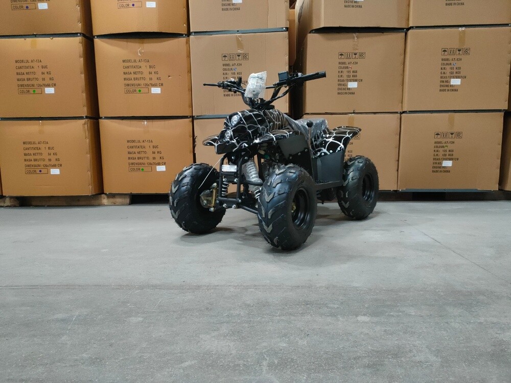 buggy - 6