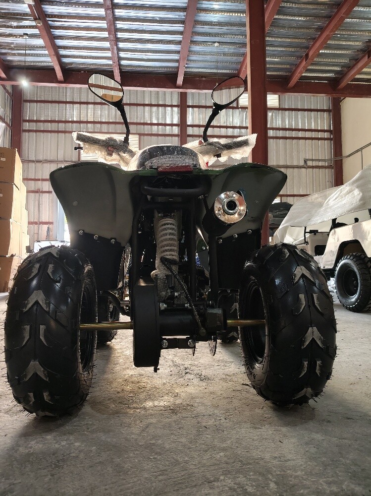 buggy - 22
