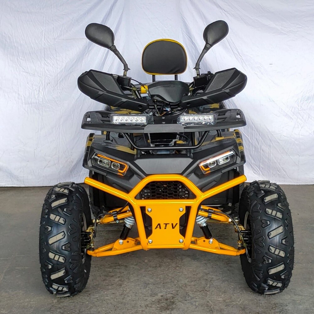 buggy - 7