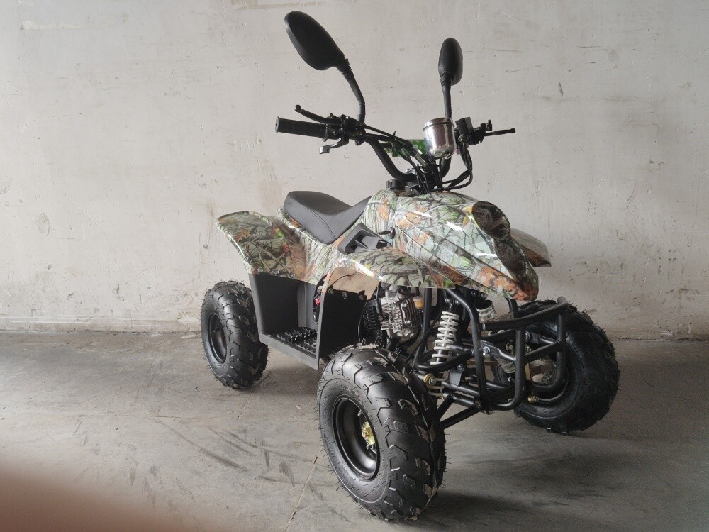 buggy - 5