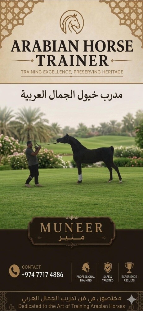 خبير تدريب وعروض خيول الجمال - 2