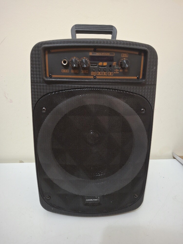 large speaker - 1