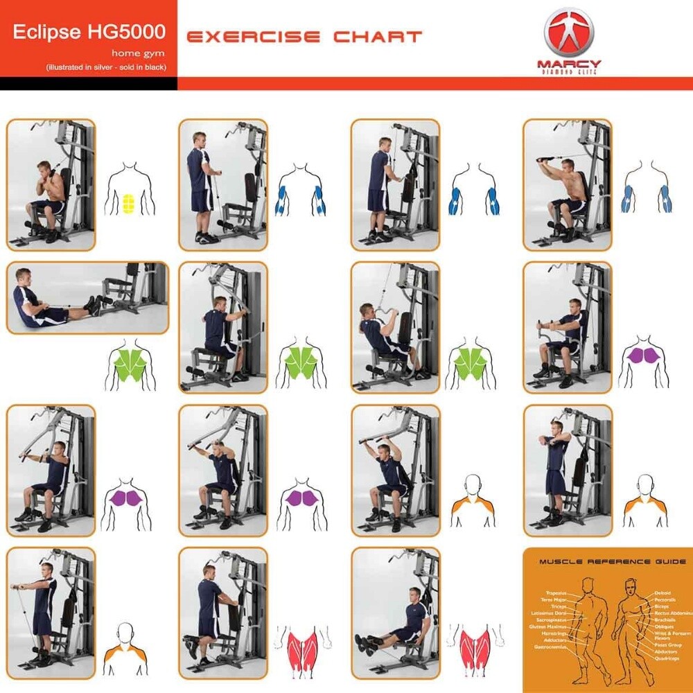 multi gym and dumbbells - 5
