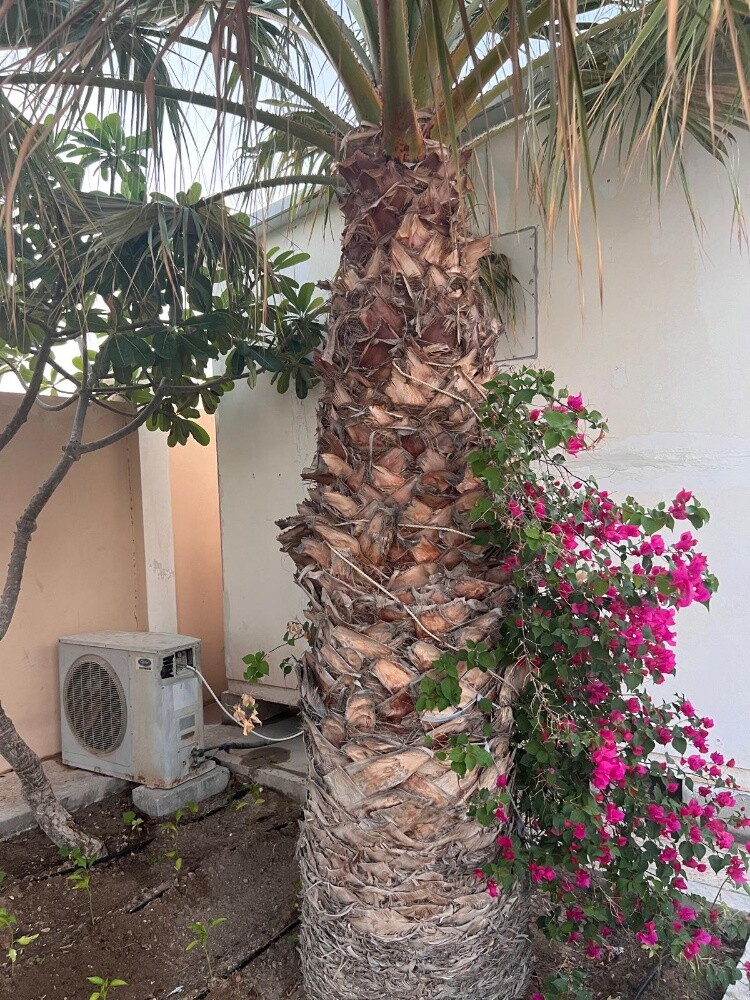 كبينة ثابتة للبيع/ تواصل 33993730 - 2