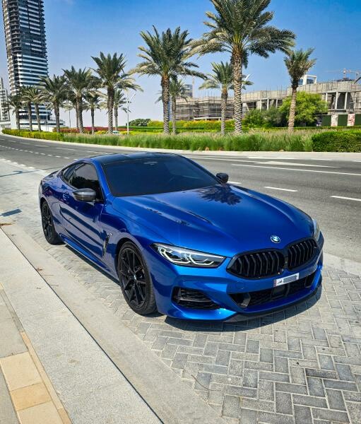 2019 BMW M850i xDrive - 14