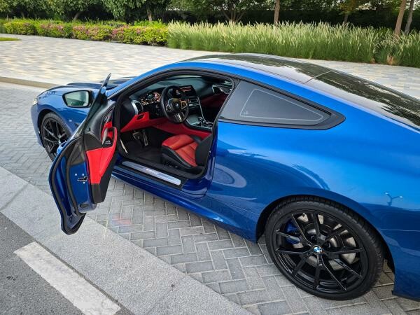 2019 BMW M850i xDrive - 8