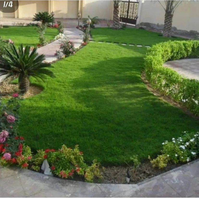 شاب متخصص فى اداره العزب والمزارع - 2