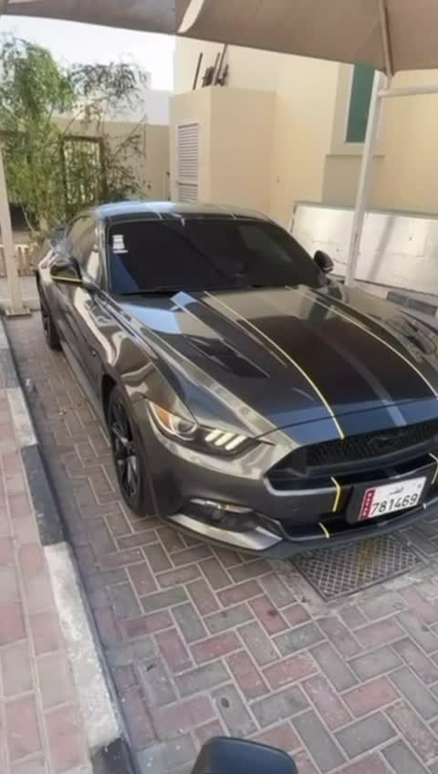 موستنج  - 1