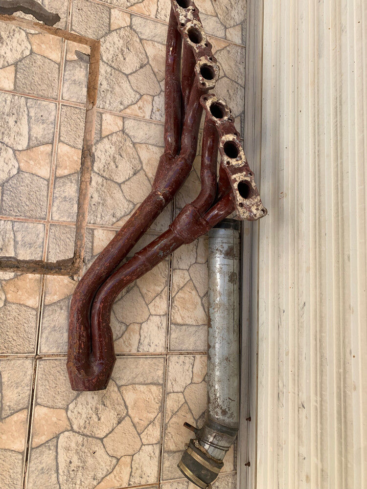 معرش وهدرز سويدي وانتك  - 1