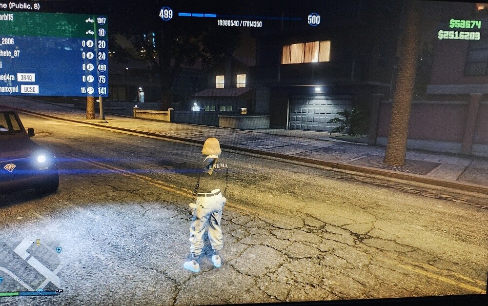 GTA account Levle 500 - 13