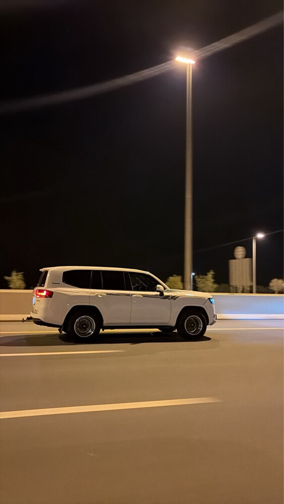 ويلد - 3