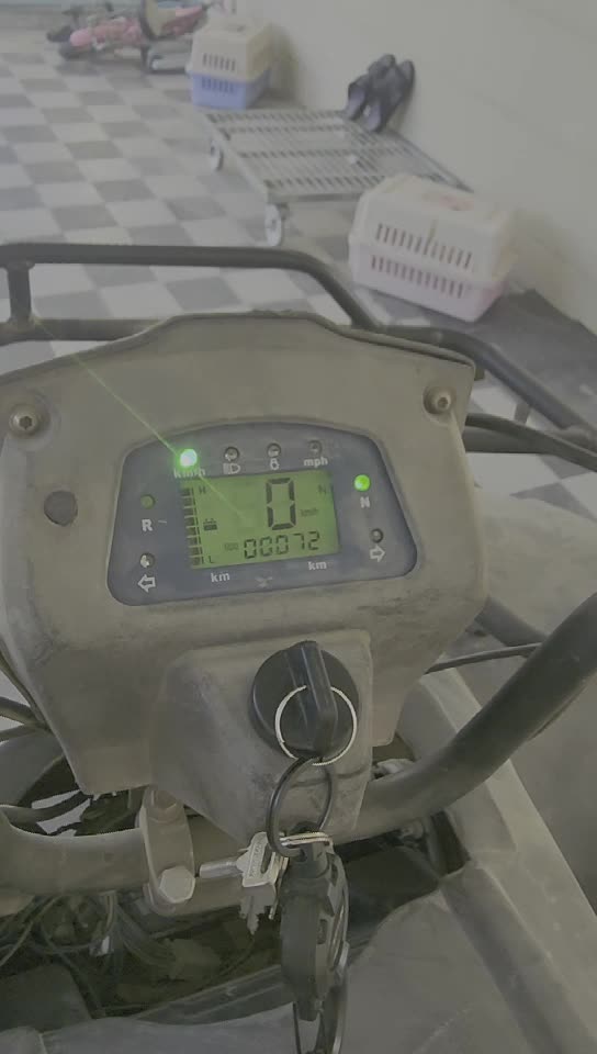 Batata for sale
150cc - 6