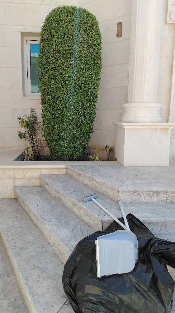 الددونيا - 3