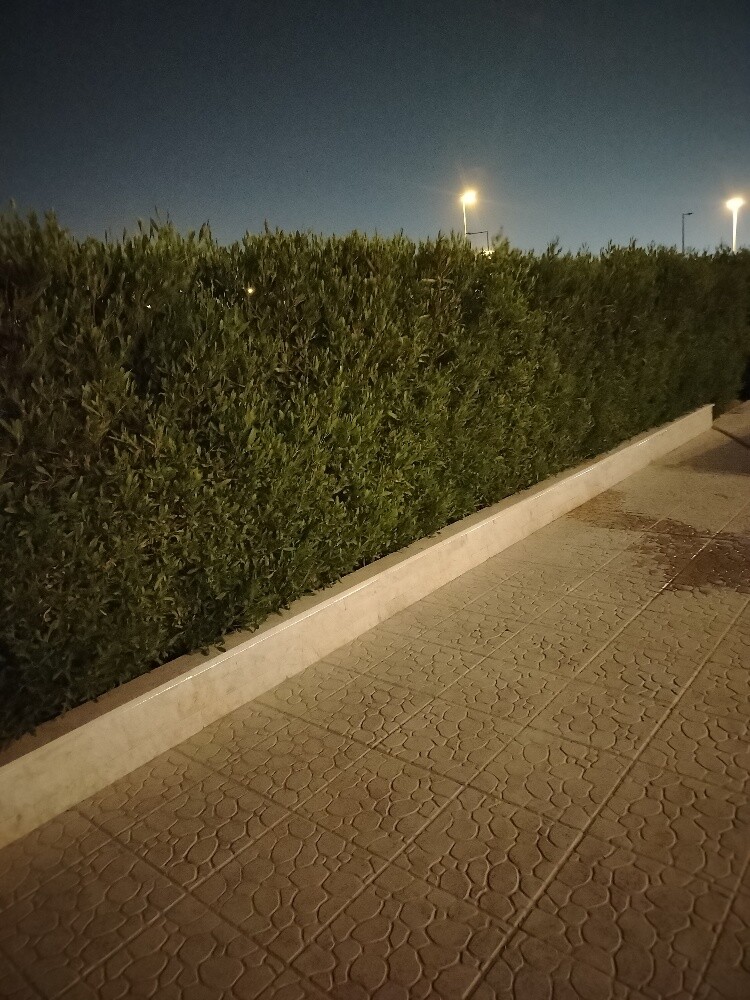 الددونيا - 2