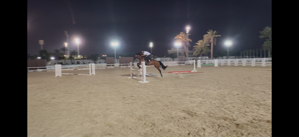 خيل قفز - 2