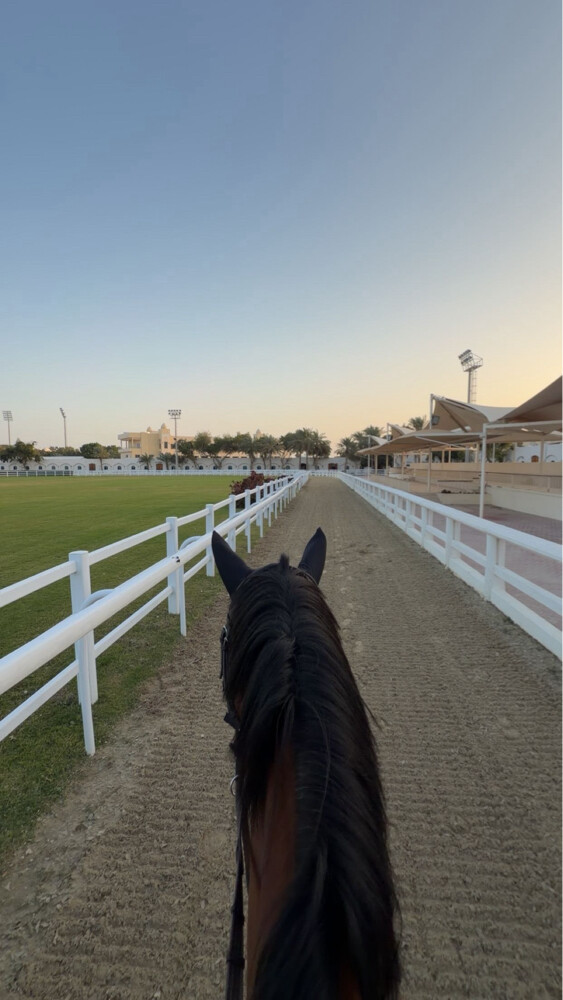 خيل قفز - 1