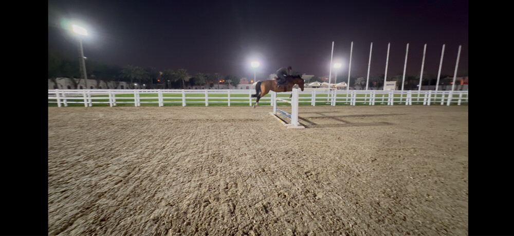 خيل قفز - 5