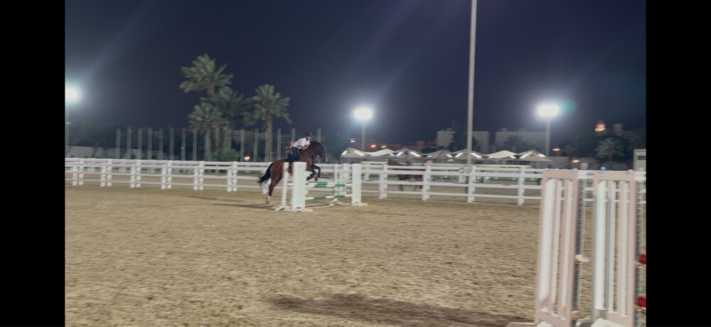 خيل قفز - 3