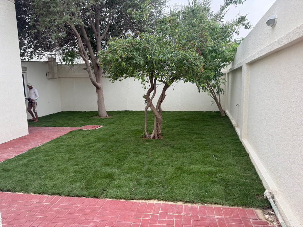 مزراع وتنسيق حدائق  - 3