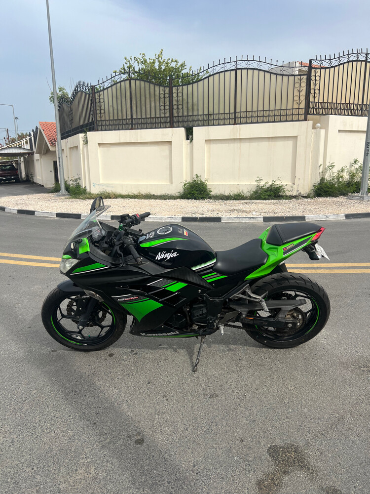 Kawasaki ninja 300  - 4