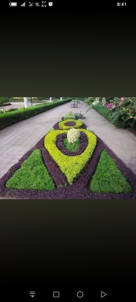 شريف - 2