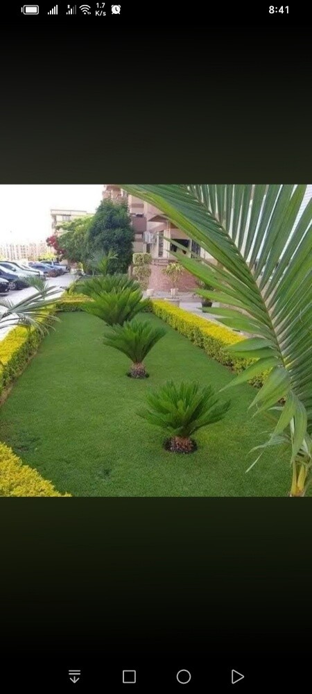 شريف - 3