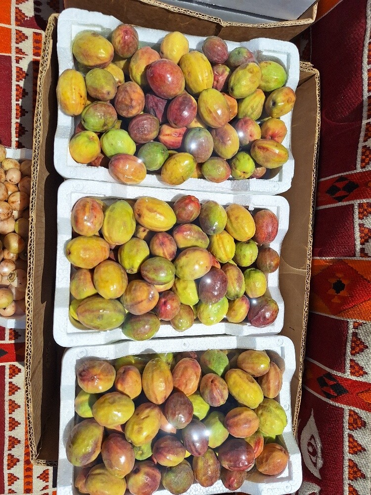 لوز والرطب - 5