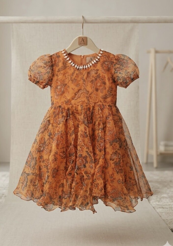 Baby girl party dress - 2