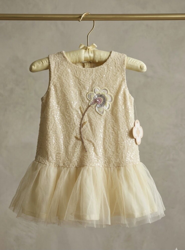 Baby girl party dress - 1