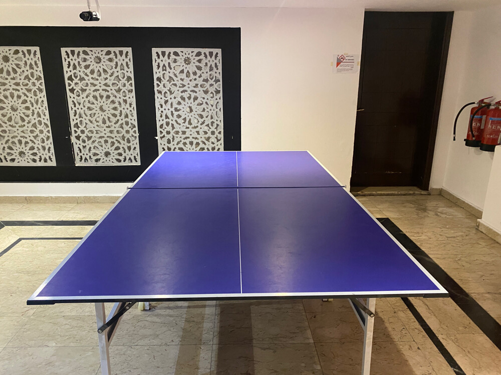 ping pong table tennis - 3