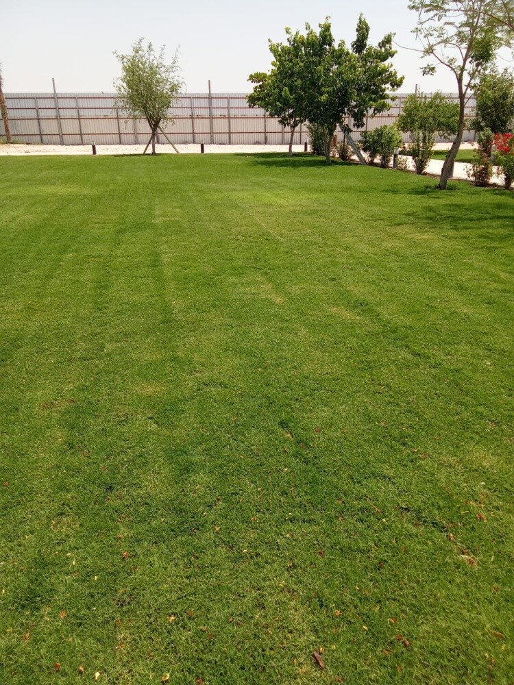 تنظيف وترتيب وتنسيق الحدائق - 3