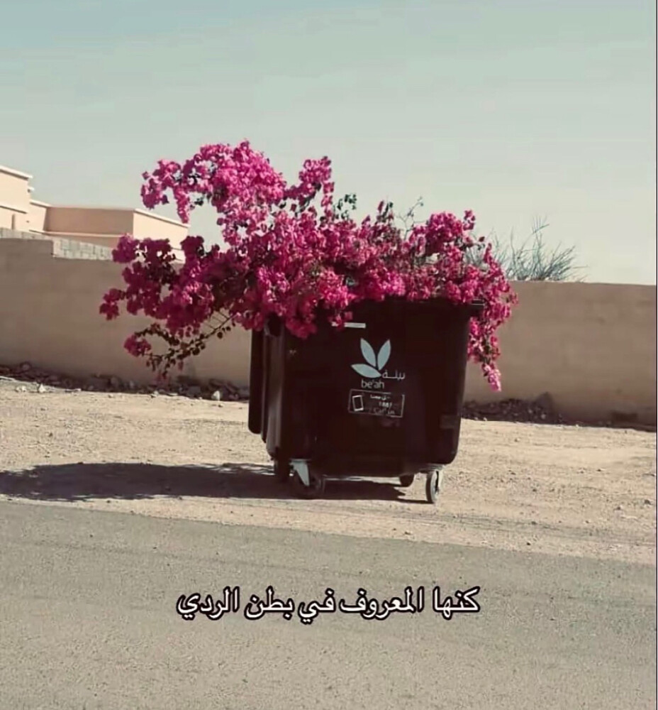 تنسيق حدايق وشبكات ري - 3