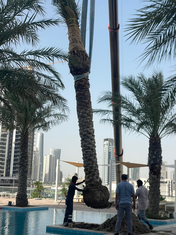 تنسيق حدايق وشبكات ري - 14