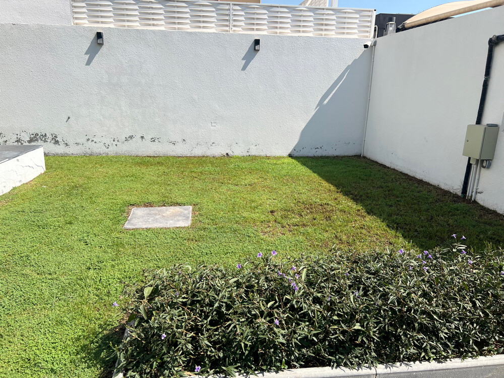Garden & Lawn Maintenance Service - 1