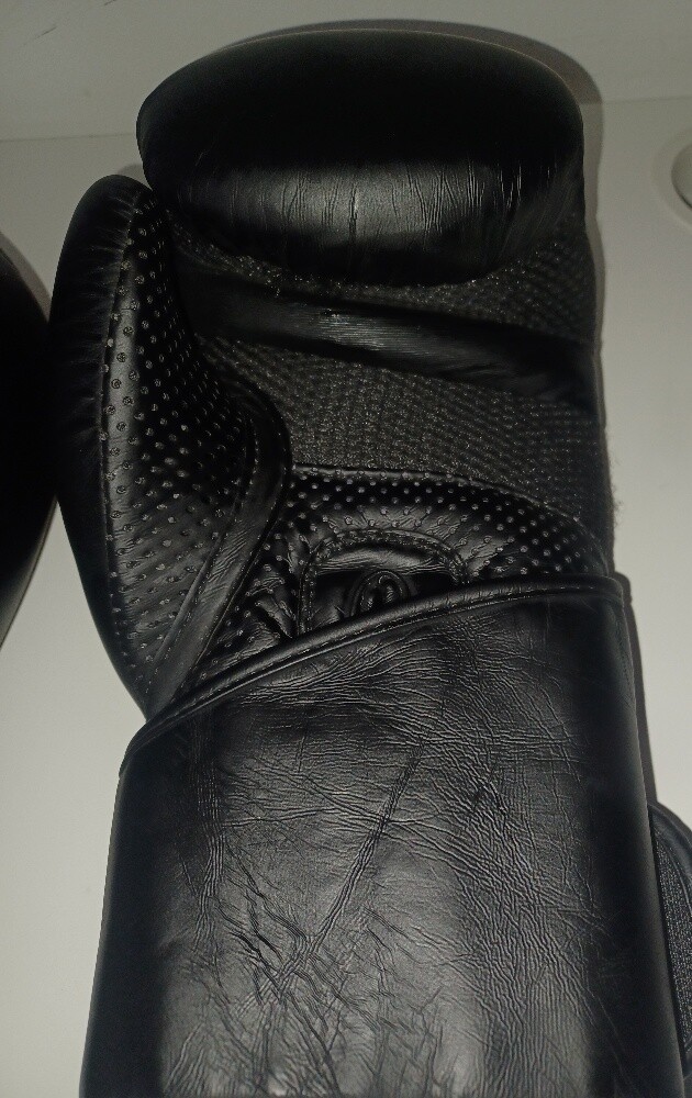 Intermix UFC Training Boxing Gloves - 6