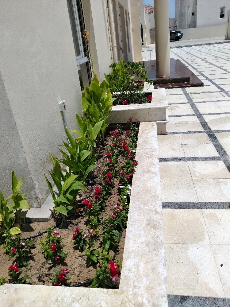 تركيب البليط - 2