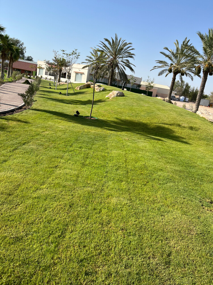 الحدائق  - 9