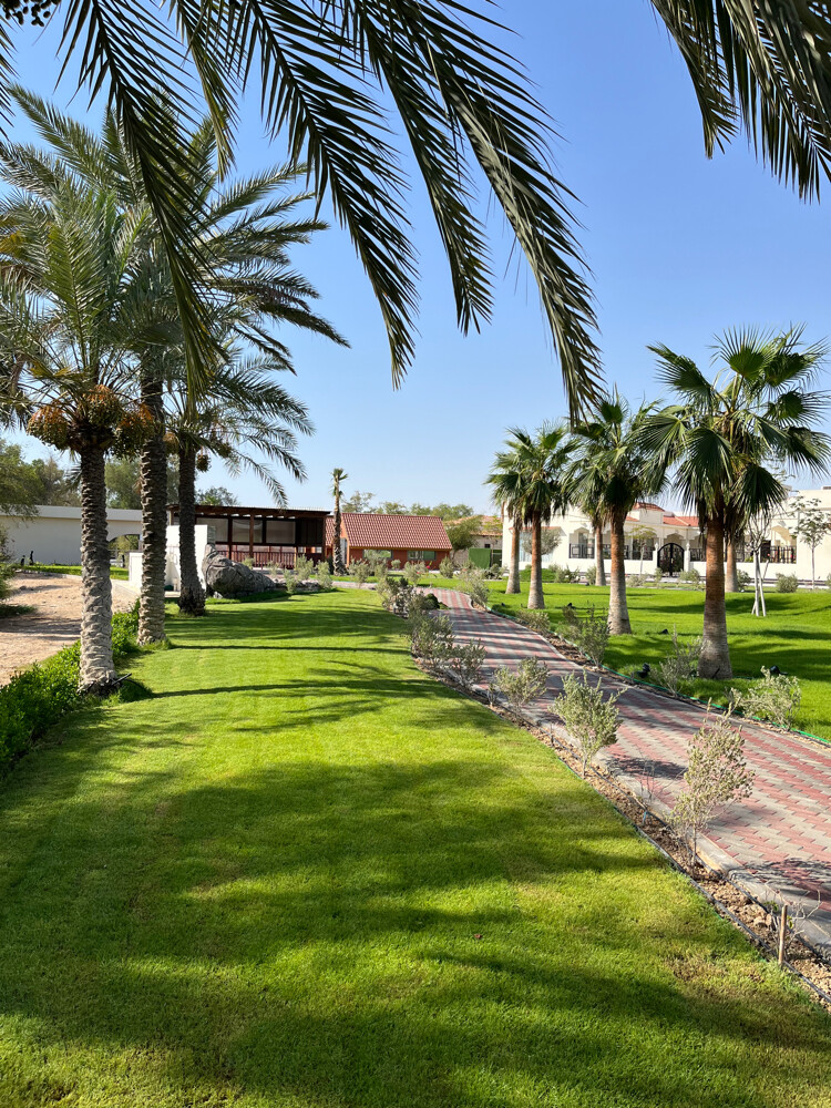 الحدائق  - 1
