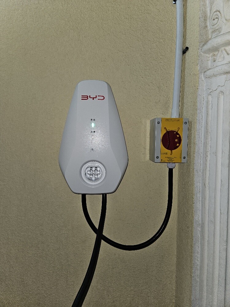 BYD ROX TASLA MI DENZA - 1