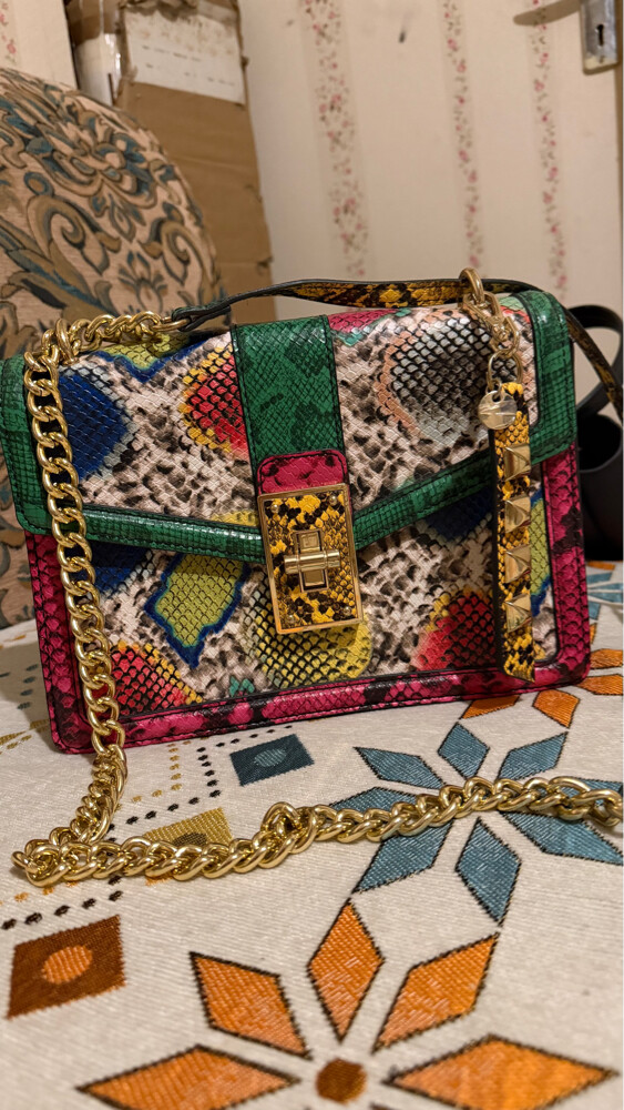 bag from Aldo - 1
