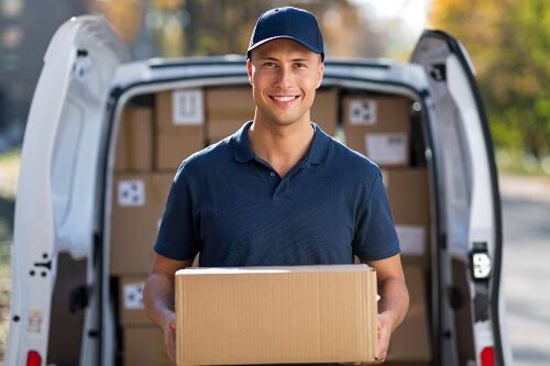 Temu and shine delivery - 1