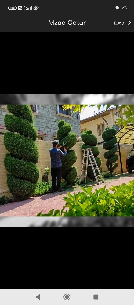 صيانه الزراعه وتنسيق الحدائق - 3