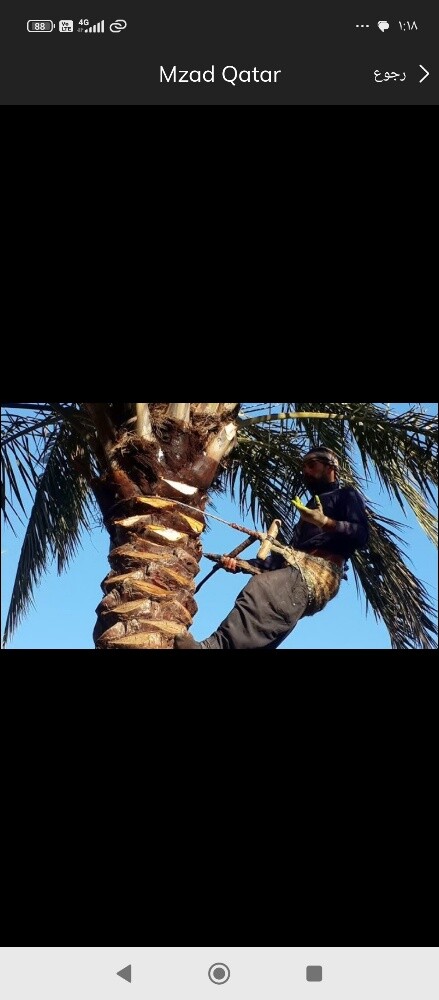 صيانه الزراعه وتنسيق الحدائق - 2